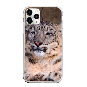 Чехол для iPhone 11 Pro Max матовый с принтом Леопард в городе Новоалтайск, Силикон |  | animal | leopard | look | predator | spotted | wild | взгляд | дикий | животное | леопард | пятнистый | хищник