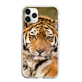 Чехол для iPhone 11 Pro Max матовый с принтом Тигр в городе Новоалтайск, Силикон |  | animal | predator | striped | tiger | view | wild | взгляд | дикий | животное | полосатый | тигр | хищник