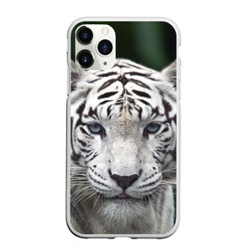 Чехол для iPhone 11 Pro Max матовый с принтом Белый тигр в городе Новоалтайск, Силикон |  | animal | jungle | look | predator | tiger | white | wild | белый | взгляд | джунгли | дикий | животное | тигр | хищник