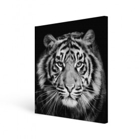 Холст квадратный с принтом Тигр в городе Новоалтайск, 100% ПВХ |  | animal | black   white | look | predator | tiger | wild | взгляд | дикий | животное | тигр | хищник | черно   белый