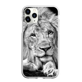 Чехол для iPhone 11 Pro Max матовый с принтом Лев в городе Новоалтайск, Силикон |  | animal | black   white | king | lies | lion | look | predator | wild | взгляд | дикий | животное | зверь | лев | лежит | хищник | царь | черно   белый