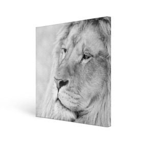 Холст квадратный с принтом Лев в городе Новоалтайск, 100% ПВХ |  | animal | black   white | king | lion | look | predator | wild | взгляд | дикий | животное | зверь | лев | хищник | царь | черно   белый