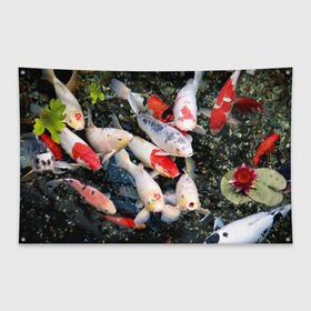 Флаг-баннер с принтом Koi Fish (карпы кои) в городе Новоалтайск, 100% полиэстер | размер 67 х 109 см, плотность ткани — 95 г/м2; по краям флага есть четыре люверса для крепления | bright | brocade | carp | color | decorative | depth | exotic | fish | koi | koi fish | sea | water | вода | глубина | декоративные | карпы | кои | море | парчовый | рыбки | цвет | экзотические | яркий