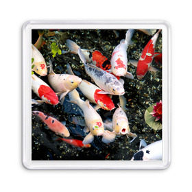 Магнит 55*55 с принтом Koi Fish (карпы кои) в городе Новоалтайск, Пластик | Размер: 65*65 мм; Размер печати: 55*55 мм | bright | brocade | carp | color | decorative | depth | exotic | fish | koi | koi fish | sea | water | вода | глубина | декоративные | карпы | кои | море | парчовый | рыбки | цвет | экзотические | яркий