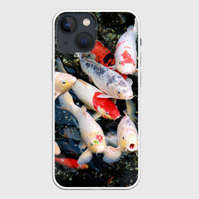 Чехол для iPhone 13 mini с принтом Koi Fish (карпы кои) в городе Новоалтайск,  |  | bright | brocade | carp | color | decorative | depth | exotic | fish | koi | koi fish | sea | water | вода | глубина | декоративные | карпы | кои | море | парчовый | рыбки | цвет | экзотические | яркий