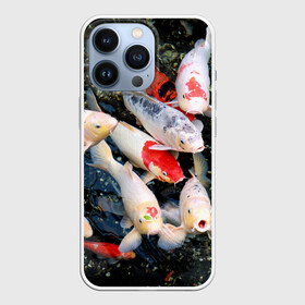Чехол для iPhone 13 Pro с принтом Koi Fish (карпы кои) в городе Новоалтайск,  |  | bright | brocade | carp | color | decorative | depth | exotic | fish | koi | koi fish | sea | water | вода | глубина | декоративные | карпы | кои | море | парчовый | рыбки | цвет | экзотические | яркий