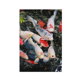 Обложка для паспорта матовая кожа с принтом Koi Fish (карпы кои) в городе Новоалтайск, натуральная матовая кожа | размер 19,3 х 13,7 см; прозрачные пластиковые крепления | Тематика изображения на принте: bright | brocade | carp | color | decorative | depth | exotic | fish | koi | koi fish | sea | water | вода | глубина | декоративные | карпы | кои | море | парчовый | рыбки | цвет | экзотические | яркий