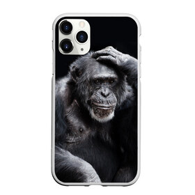 Чехол для iPhone 11 Pro матовый с принтом ЕГЭ в городе Новоалтайск, Силикон |  | егэ | обезьяна | шимпанзе | школа | экзамен | экзамены