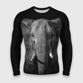 Мужской рашгард 3D с принтом Слон в городе Новоалтайск,  |  | animal | big | black   white | elephant | wild | большой | дикий | животное | слон | черно   белый