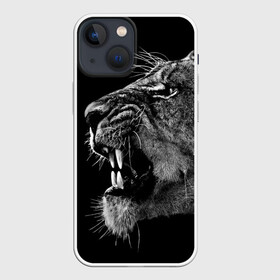 Чехол для iPhone 13 mini с принтом Львица в городе Новоалтайск,  |  | animal | fangs | head | lion | lioness | predator | teeth | wild | голова | дикая | животное | клыки | лев | львица | оскал | хищник