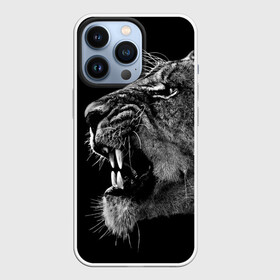 Чехол для iPhone 13 Pro с принтом Львица в городе Новоалтайск,  |  | Тематика изображения на принте: animal | fangs | head | lion | lioness | predator | teeth | wild | голова | дикая | животное | клыки | лев | львица | оскал | хищник