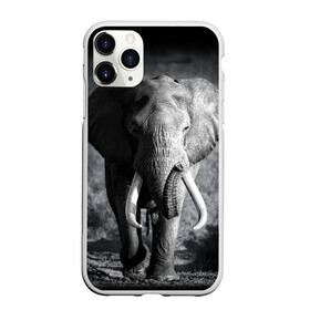 Чехол для iPhone 11 Pro Max матовый с принтом Слон в городе Новоалтайск, Силикон |  | Тематика изображения на принте: africa | animal | big | black   white | elephant | go | road | savannah | wild | африка | большой | дикий | дорога | животное | идет | саванна | слон | черно   белый