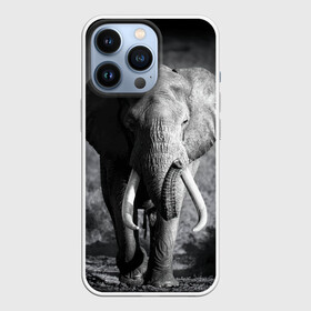 Чехол для iPhone 13 Pro с принтом Слон в городе Новоалтайск,  |  | Тематика изображения на принте: africa | animal | big | black   white | elephant | go | road | savannah | wild | африка | большой | дикий | дорога | животное | идет | саванна | слон | черно   белый