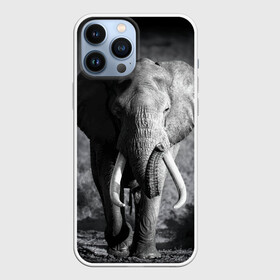 Чехол для iPhone 13 Pro Max с принтом Слон в городе Новоалтайск,  |  | Тематика изображения на принте: africa | animal | big | black   white | elephant | go | road | savannah | wild | африка | большой | дикий | дорога | животное | идет | саванна | слон | черно   белый