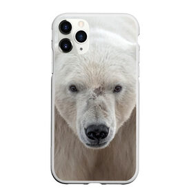 Чехол для iPhone 11 Pro матовый с принтом Белый медведь в городе Новоалтайск, Силикон |  | animal | bear | eyes | head | north | polar | predator | white | wild | белый | взгляд | голова | дикий | животное | медведь | полярный | север | хищник