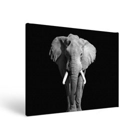 Холст прямоугольный с принтом Слон в городе Новоалтайск, 100% ПВХ |  | africa | big | black   white | elephant is an animal | shroud | tusks | африка | бивни | большой | животное | идет | савана | слон | черно   белый