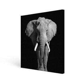 Холст квадратный с принтом Слон в городе Новоалтайск, 100% ПВХ |  | africa | big | black   white | elephant is an animal | shroud | tusks | африка | бивни | большой | животное | идет | савана | слон | черно   белый