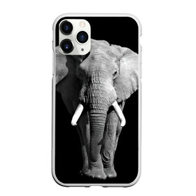 Чехол для iPhone 11 Pro Max матовый с принтом Слон в городе Новоалтайск, Силикон |  | Тематика изображения на принте: africa | big | black   white | elephant is an animal | shroud | tusks | африка | бивни | большой | животное | идет | савана | слон | черно   белый