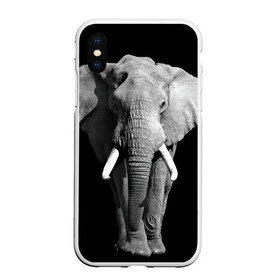 Чехол для iPhone XS Max матовый с принтом Слон в городе Новоалтайск, Силикон | Область печати: задняя сторона чехла, без боковых панелей | Тематика изображения на принте: africa | big | black   white | elephant is an animal | shroud | tusks | африка | бивни | большой | животное | идет | савана | слон | черно   белый