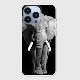 Чехол для iPhone 13 Pro с принтом Слон в городе Новоалтайск,  |  | Тематика изображения на принте: africa | big | black   white | elephant is an animal | shroud | tusks | африка | бивни | большой | животное | идет | савана | слон | черно   белый