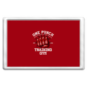 Магнит 45*70 с принтом One Punch Gym в городе Новоалтайск, Пластик | Размер: 78*52 мм; Размер печати: 70*45 | boxing | combat | fight | fighter | kickboxing | muay thai | wrestling | боец | бой | бокс | боксер | драка | кикбоксинг | май тай