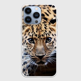 Чехол для iPhone 13 Pro с принтом Леопард в городе Новоалтайск,  |  | Тематика изображения на принте: взгляд | глаза | дикая кошка | леопард | хищник