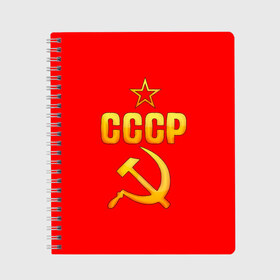 Тетрадь с принтом СССР в городе Новоалтайск, 100% бумага | 48 листов, плотность листов — 60 г/м2, плотность картонной обложки — 250 г/м2. Листы скреплены сбоку удобной пружинной спиралью. Уголки страниц и обложки скругленные. Цвет линий — светло-серый
 | 9 мая | день победы | победа | праздник | россия | ссср