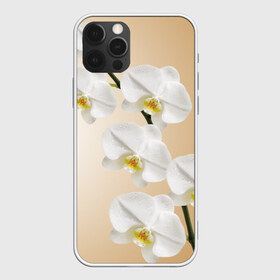 Чехол для iPhone 12 Pro Max с принтом Orhid в городе Новоалтайск, Силикон |  | девушки | красота | орхидея | прелесть | цветы