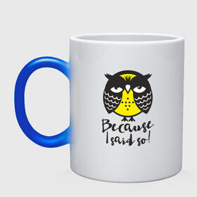 Кружка хамелеон с принтом Owl. Because I said so! в городе Новоалтайск, керамика | меняет цвет при нагревании, емкость 330 мл | Тематика изображения на принте: bird | owl | няша | птица | сова | совунья | совушка | сыч