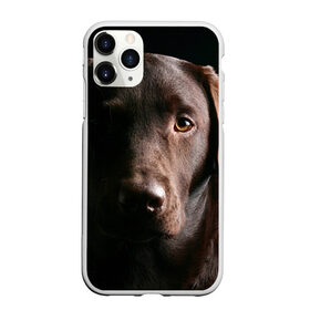 Чехол для iPhone 11 Pro Max матовый с принтом Лабрадор в городе Новоалтайск, Силикон |  | Тематика изображения на принте: далматин | далматинец | дворняга | лабрадор | любимец | овчарка | пес | питомец | самоед | собака | собачка | щенок