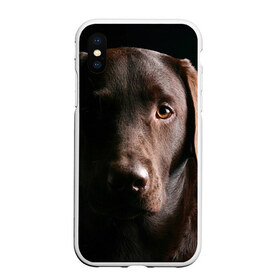 Чехол для iPhone XS Max матовый с принтом Лабрадор в городе Новоалтайск, Силикон | Область печати: задняя сторона чехла, без боковых панелей | Тематика изображения на принте: далматин | далматинец | дворняга | лабрадор | любимец | овчарка | пес | питомец | самоед | собака | собачка | щенок