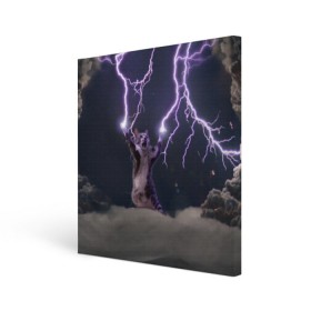 Холст квадратный с принтом Грозовой кошак в городе Новоалтайск, 100% ПВХ |  | lightning cat