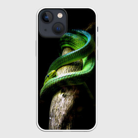 Чехол для iPhone 13 mini с принтом Змея на груди в городе Новоалтайск,  |  | гадюка | дерево | джунгли | зелёный змей | змея | кобра | природа | удав
