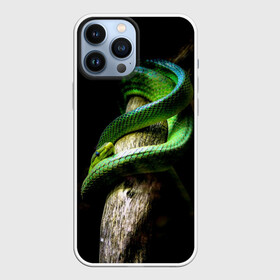 Чехол для iPhone 13 Pro Max с принтом Змея на груди в городе Новоалтайск,  |  | гадюка | дерево | джунгли | зелёный змей | змея | кобра | природа | удав