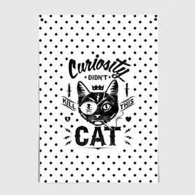 Постер с принтом Curiosity Cat в городе Новоалтайск, 100% бумага
 | бумага, плотность 150 мг. Матовая, но за счет высокого коэффициента гладкости имеет небольшой блеск и дает на свету блики, но в отличии от глянцевой бумаги не покрыта лаком | animal | beast | cat | feline | gangsta | kill | king | kitty | meow | nature | гангстер | животное | зверь | король | кот | котенок | котик | кошка | мяу | природа