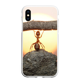 Чехол для iPhone XS Max матовый с принтом Муравей в городе Новоалтайск, Силикон | Область печати: задняя сторона чехла, без боковых панелей | Тематика изображения на принте: ветка | жук | закат | камень | муравей | насекомые | природа