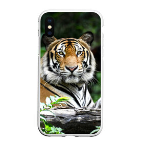 Чехол для iPhone XS Max матовый с принтом Тигр в джунглях в городе Новоалтайск, Силикон | Область печати: задняя сторона чехла, без боковых панелей | амурский | животные | зверь | киса | кот | котенок | кошка | тигр | хищник