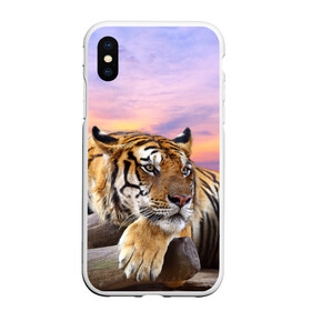 Чехол для iPhone XS Max матовый с принтом Тигр в городе Новоалтайск, Силикон | Область печати: задняя сторона чехла, без боковых панелей | амурский | животные | зверь | киса | кот | котенок | кошка | тигр | хищник