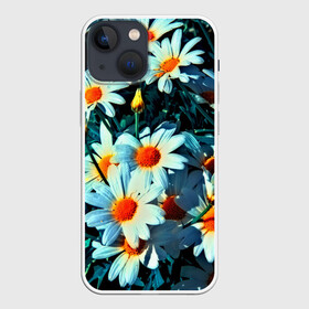 Чехол для iPhone 13 mini с принтом Полевые ромашки в городе Новоалтайск,  |  | Тематика изображения на принте: flower | лето | полевой цветок | цветочки | цветы
