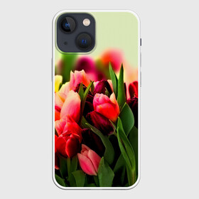 Чехол для iPhone 13 mini с принтом Букет тюльпанов в городе Новоалтайск,  |  | Тематика изображения на принте: flower | весна | цветочки | цветы