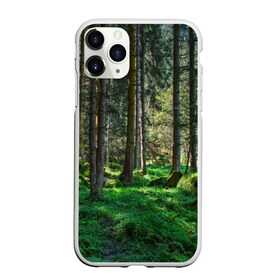 Чехол для iPhone 11 Pro Max матовый с принтом Темный лес в городе Новоалтайск, Силикон |  | Тематика изображения на принте: бор | деревья | ель | ельник | заповедник | камни | красивый | лес | лето | мох | мрачный | прекрасный | природа | флора | чудесный