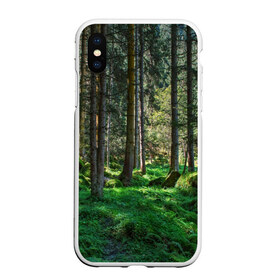 Чехол для iPhone XS Max матовый с принтом Темный лес в городе Новоалтайск, Силикон | Область печати: задняя сторона чехла, без боковых панелей | Тематика изображения на принте: бор | деревья | ель | ельник | заповедник | камни | красивый | лес | лето | мох | мрачный | прекрасный | природа | флора | чудесный