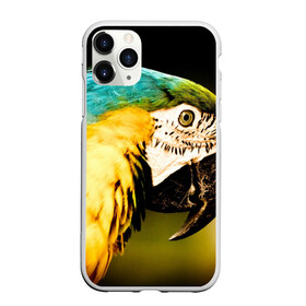 Чехол для iPhone 11 Pro Max матовый с принтом Попугай в городе Новоалтайск, Силикон |  | двое | классный | клюв | красивый | крылья | попугай | попугайчик | птица | птичка | радужный