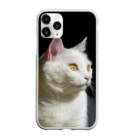 Чехол для iPhone 11 Pro матовый с принтом Белая и пушистая в городе Новоалтайск, Силикон |  | Тематика изображения на принте: белый | взгляд | глаза | киска | кот | котёнок | кошка | пушистый
