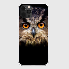 Чехол для iPhone 12 Pro Max с принтом Хищный взор в городе Новоалтайск, Силикон |  | взгляд | глаза | клюв | пернатые | перья | птица | сова | филин | хищник
