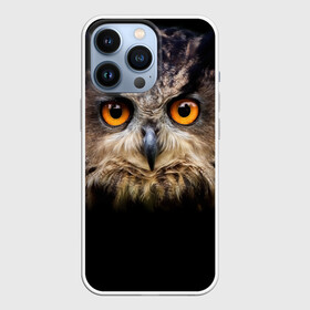 Чехол для iPhone 13 Pro с принтом Хищный взор в городе Новоалтайск,  |  | взгляд | глаза | клюв | пернатые | перья | птица | сова | филин | хищник
