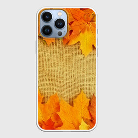Чехол для iPhone 13 Pro Max с принтом Foliage в городе Новоалтайск,  |  | Тематика изображения на принте: листья | осень