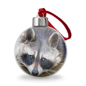 Ёлочный шар с принтом Енот в городе Новоалтайск, Пластик | Диаметр: 77 мм | барсук | добрый | енот | животное | зверек | зверь | красивый | крошка | милое | милый | полоски серые | полоскун | прикольный | природа | скунс | усатый | фауна | флора | хищник | черный | шерсть