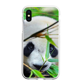Чехол для iPhone XS Max матовый с принтом Панда в лесу в городе Новоалтайск, Силикон | Область печати: задняя сторона чехла, без боковых панелей | Тематика изображения на принте: бамбук | животное | медведь