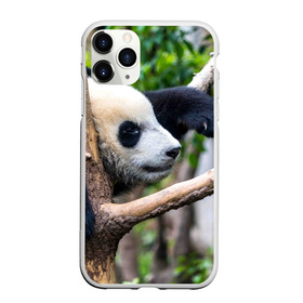 Чехол для iPhone 11 Pro Max матовый с принтом Бамбуковый медведь в городе Новоалтайск, Силикон |  | бамбук | животное | медведь